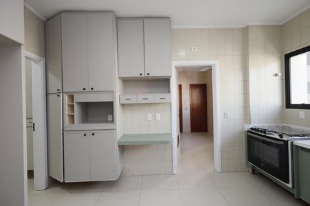 Apartamento à venda com 232m², 5 quartos e 3 vagasCozinha - Armários