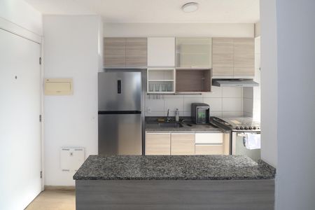 Cozinha - Armários de apartamento para alugar com 2 quartos, 47m² em Parque Edu Chaves, São Paulo