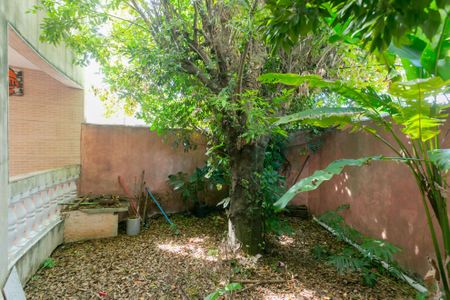 Casa para alugar com 130m², 3 quartos e 2 vagasÁrea Externa - Jardim 