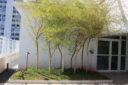 Studio para alugar com 27m², 1 quarto e sem vagaRooftop