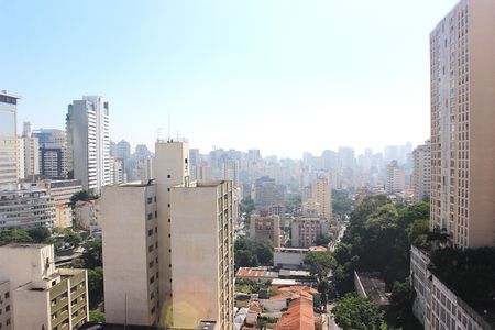 Studio para alugar com 27m², 1 quarto e sem vagaVista do Terraço
