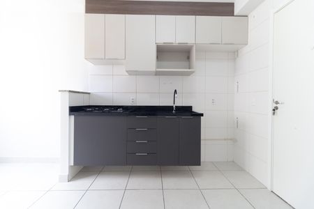 Apartamento para alugar com 33m², 2 quartos e sem vagaCozinha 