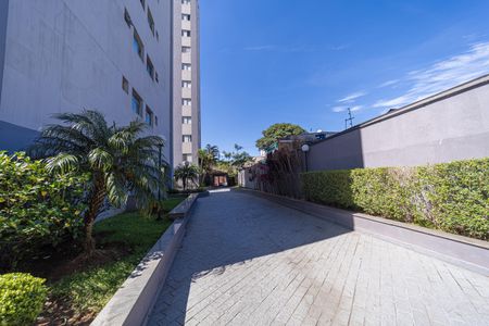 Apartamento à venda com 55m², 2 quartos e 1 vaga Apartamento à venda com 55m², 2 quartos e 1 vagaÁrea comum