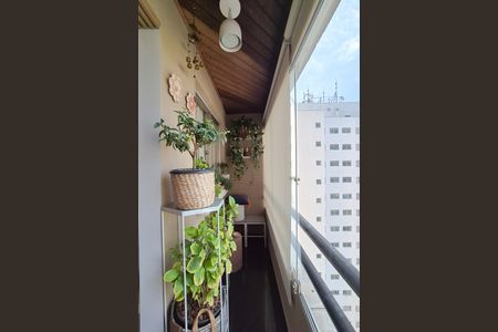 Varanda da Sala de apartamento à venda com 3 quartos, 78m² em Planalto, São Bernardo do Campo