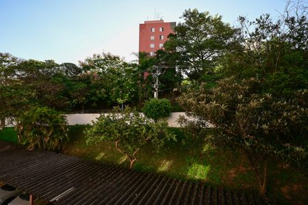 Apartamento para alugar com 58m², 2 quartos e 1 vagaVista do Quarto 2