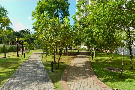 Apartamento à venda com 114m², 4 quartos e 2 vagasBosque Privativo 
