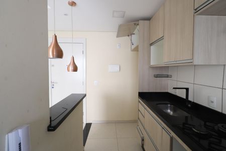 Apartamento à venda com 48m², 2 quartos e 1 vagaCozinha