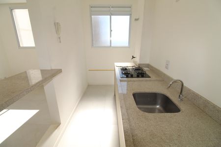 Cozinha de apartamento para alugar com 2 quartos, 50m² em Jardim das Industrias, São José dos Campos