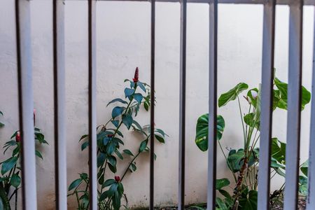 Casa para alugar com 309m², 4 quartos e 4 vagasVista Sala jantar