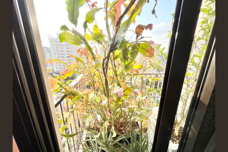 Apartamento à venda com 120m², 3 quartos e 3 vagas Apartamento à venda com 120m², 3 quartos e 3 vagasVaranda Quarto 3 - Suíte