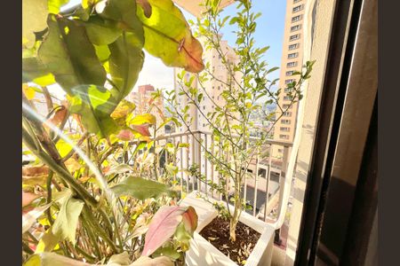 Apartamento à venda com 120m², 3 quartos e 3 vagas Apartamento à venda com 120m², 3 quartos e 3 vagasVaranda Quarto 3 - Suíte