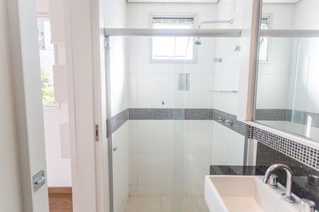 Banheiro da Suíte de apartamento para alugar com 3 quartos, 77m² em Nova Vista, Belo Horizonte