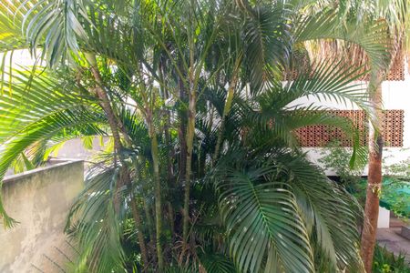 Apartamento para alugar com 90m², 3 quartos e 1 vagaVista do Quarto 2