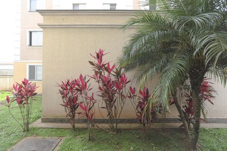 Apartamento para alugar com 40m², 1 quarto e 1 vagaVista - Cozinha