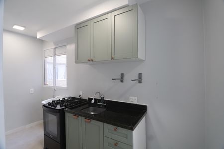 Apartamento para alugar com 41m², 2 quartos e 1 vagaCozinha - Armários
