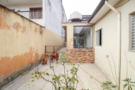 Casa à venda com 300m², 6 quartos e sem vaga Casa à venda com 300m², 6 quartos e sem vagaCasa 1 - Quarto 1 - Suite