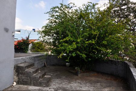 Casa para alugar com 148m², 3 quartos e 2 vagasDetalhes - Quintal