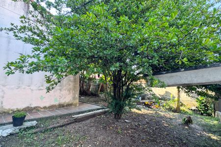 Casa à venda com 254m², 3 quartos e 4 vagasQuintal 