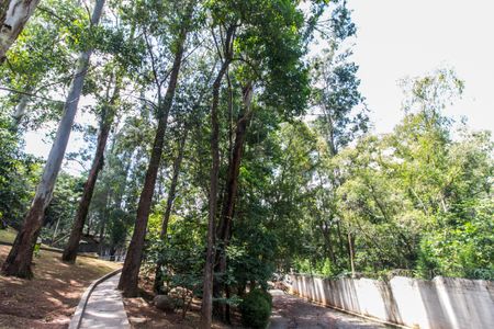 Apartamento à venda com 540m², 4 quartos e 3 vagasÁrea comum