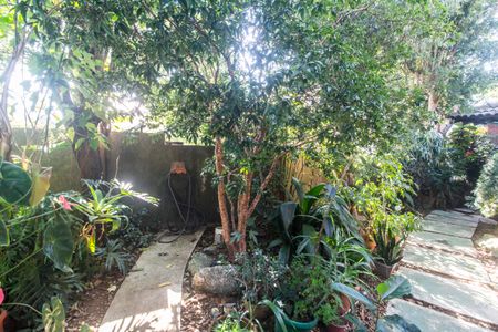Apartamento à venda com 540m², 4 quartos e 3 vagasQuintal