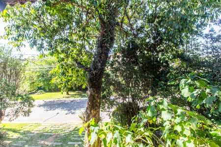 Apartamento à venda com 540m², 4 quartos e 3 vagasVista da Suíte