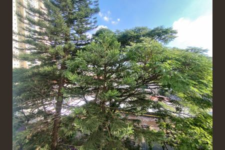 Apartamento à venda com 58m², 2 quartos e 1 vagaVista da Rua