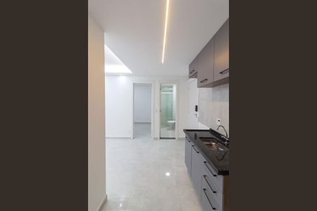 Apartamento para alugar com 35m², 2 quartos e sem vaga Apartamento para alugar com 35m², 2 quartos e sem vagaCozinha