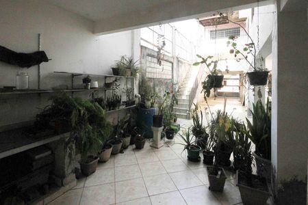 Casa para alugar com 230m², 5 quartos e 4 vagasQuintal