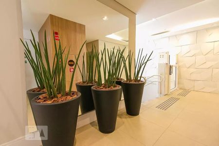 Apartamento à venda com 65m², 2 quartos e 2 vagasArea Comum