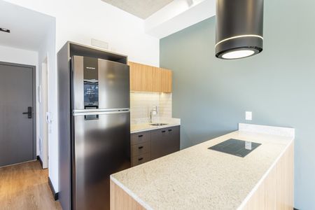 Studio para alugar com 47m², 1 quarto e 1 vagaCozinha