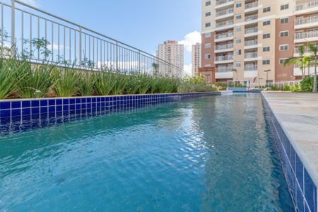 Apartamento para alugar com 50m², 2 quartos e 1 vagaÁrea comum - Piscina