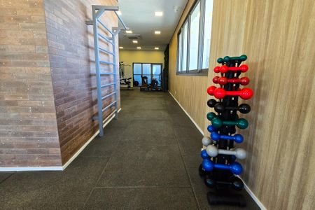 Área comum - Academia de apartamento para alugar com 2 quartos, 48m² em Tatuapé, São Paulo