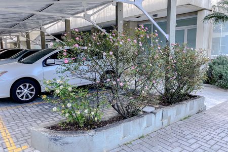 Apartamento à venda com 62m², 2 quartos e 1 vagaÁrea comum