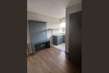 Studio de kitnet/studio para alugar com 1 quarto, 21m² em Vila Amaral, Belo Horizonte