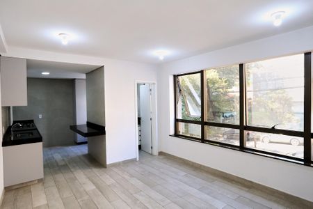 Sala de apartamento para alugar com 1 quarto, 51m² em Santo Agostinho, Belo Horizonte