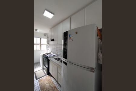 Apartamento para alugar com 67m², 3 quartos e 1 vagaCozinha - Armários