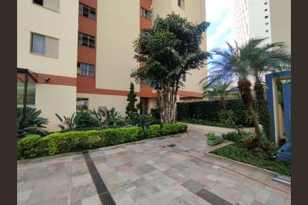 Apartamento para alugar com 67m², 3 quartos e 1 vagaÁrea comum