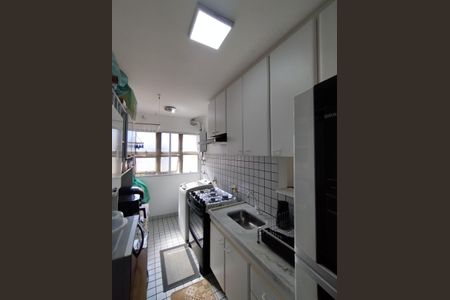 Apartamento para alugar com 67m², 3 quartos e 1 vagaCozinha - Armários