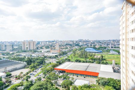 Vista Quarto 1 de apartamento à venda com 2 quartos, 62m² em Interlagos, São Paulo