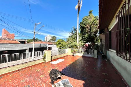 Casa à venda com 170m², 3 quartos e 2 vagas Casa à venda com 170m², 3 quartos e 2 vagasÁrea externa
