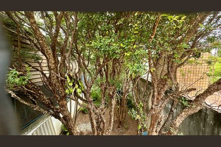 Apartamento à venda com 100m², 3 quartos e 2 vagasÁrea comum 