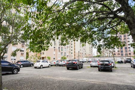 Apartamento para alugar com 55m², 2 quartos e 1 vagaÁrea comum