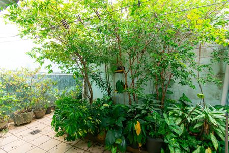 Casa para alugar com 90m², 2 quartos e sem vagaQuintal