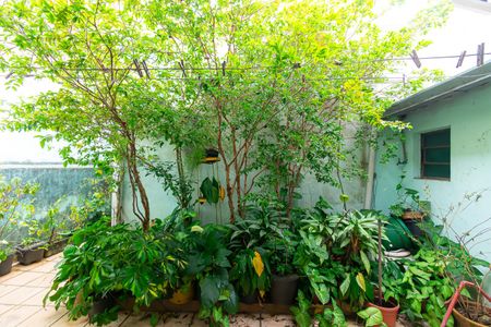 Casa para alugar com 90m², 2 quartos e sem vagaQuintal