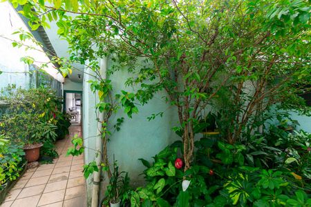 Casa para alugar com 90m², 2 quartos e sem vagaQuintal