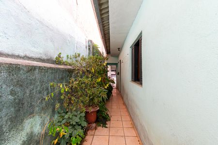 Casa para alugar com 90m², 2 quartos e sem vagaQuintal