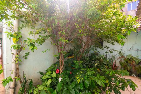 Casa para alugar com 90m², 2 quartos e sem vagaQuintal