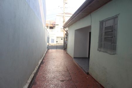 Casa para alugar com 50m², 1 quarto e 1 vagaQuintal