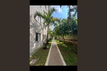 Apartamento à venda com 2 quartos, 50m² em Jardim Santa Teresinha, São Paulo