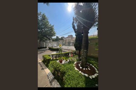 Apartamento à venda com 2 quartos, 50m² em Jardim Santa Teresinha, São Paulo